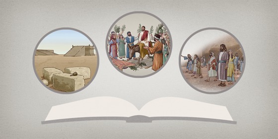 Einfuhrungen In Bibelbucher Jw Org Videos