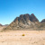 Berg Sinai

