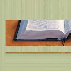 La Bible : quel est son message? sebrã pipi nengã