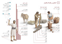 ١٨-‏أ المقاييس والعملة والاوزان