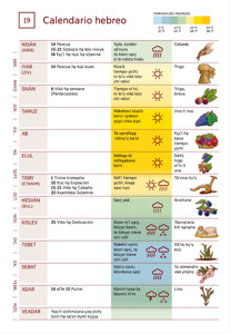 19 Calendario hebreo