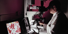 A scientist looking through a microscope