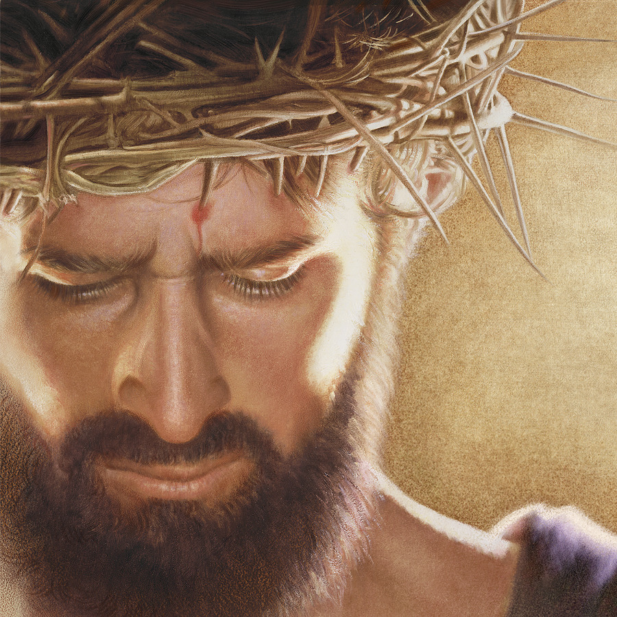 Em que as Testemunhas de Jeová