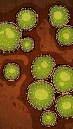Болезнетворные микроорганизмы под увеличением