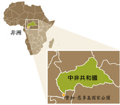 中非共合國的地圖