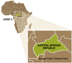 Mapa sa Central African Republic