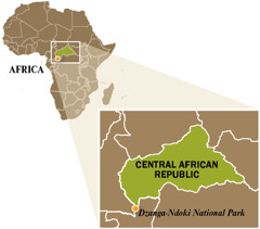 Mapa ti Central African Republic