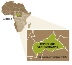 Sarintanin’ny République centrafricaine