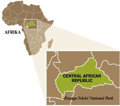 A map of Central African Republic