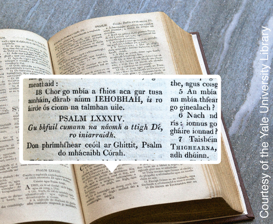 ロバート ボイル 歴史のひとこま