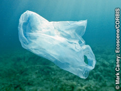 Bolsa de plástico flotando en el océano