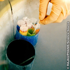 Frascos donde se guardan embriones humanos congelados