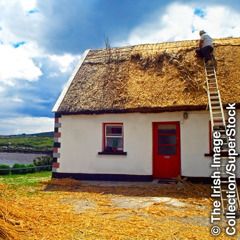 A thatched-roof cottage
