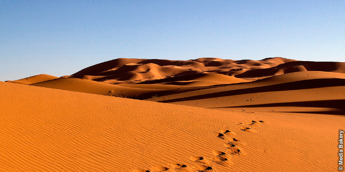 Observando El Mundo Hablemos Del Medioambiente Despertad Junio De 15