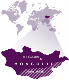 Une carte du monde indiquant la position de la Mongolie