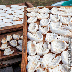 Trays of aaruul drying