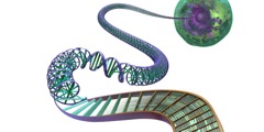 Le informazioni contenute nel DNA illustrate come libri su uno scaffale di una biblioteca
