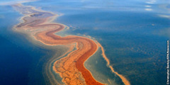 An oil spill in the Gulf of Mexico