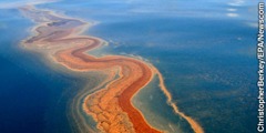 Chiazza di petrolio nel Golfo del Messico