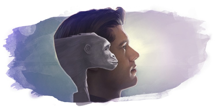 An ape’s head superimposed on a man’s head