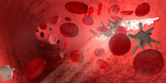 An artist’s rendition of blood cells