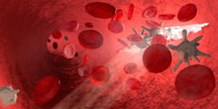 Ilustracija na kojoj su prikazane krvne stanice