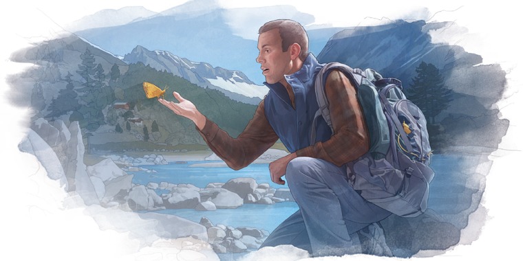 A man looks closely at a butterfly