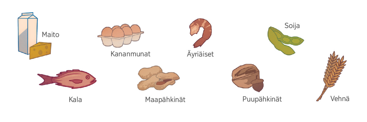 Ruoka-allergia ja -⁠intoleranssi – mitä eroa niillä on?