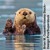Anụ sea otter
