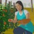 Γυναίκα μαζεύει ντομάτες
