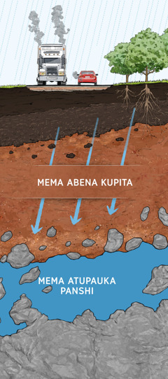 Kipikichala kibena kumwesha mema byo beawamisha ku mushiji. Mema a mvula apita mu maloba, mabwe ne busenga ne kuya panshi pene pa mushiji.