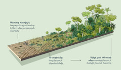 Նկարում պատկերված է տարածք, որը հողագործության համար ծառահատվել է և չի օգտագործվել։ Տասը տարի անց հողը կարող է վերականգնվել։ Ավելի քան հարյուր տարի անց անտառը ամբողջությամբ կարող է նախկին տեսքը ունենալ