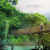 امرأة تمشي على جسر معلَّق في غابة مطيرة