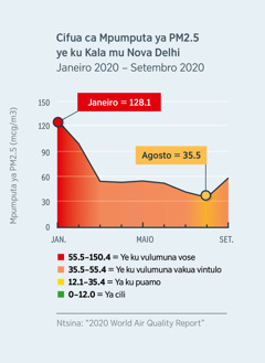 Cikasa ca muesa mpumputa ya ku seza-seza (PM2.5) ku Nova Delhi, India. Mpumputa yaco ya tepulukile ku tunda ha 128.1 mu Janeiro ya 2020, ku tuala ha 35.5 mu Agosto ya 2020.