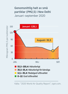 Ett diagram som visar halten av små partiklar (PM2,5) i New Delhi i Indien. Halten sjönk från 128,1, som klassas som hälsofarlig luftkvalitet för alla, i januari 2020, till strax under 35,5, som klassas som medelgod luftkvalitet, i augusti 2020.