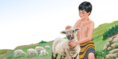 Unge Jakob klappar ett får.
