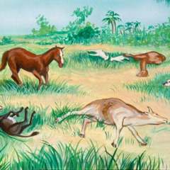 Animals of the Egyptians die during the fifth plague
