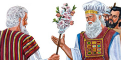 Moisés segura o bastão de Arão, que brotou flores