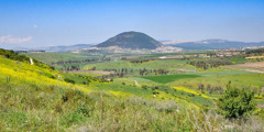 Mount Tabor