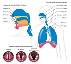 Diagramas de la página 183