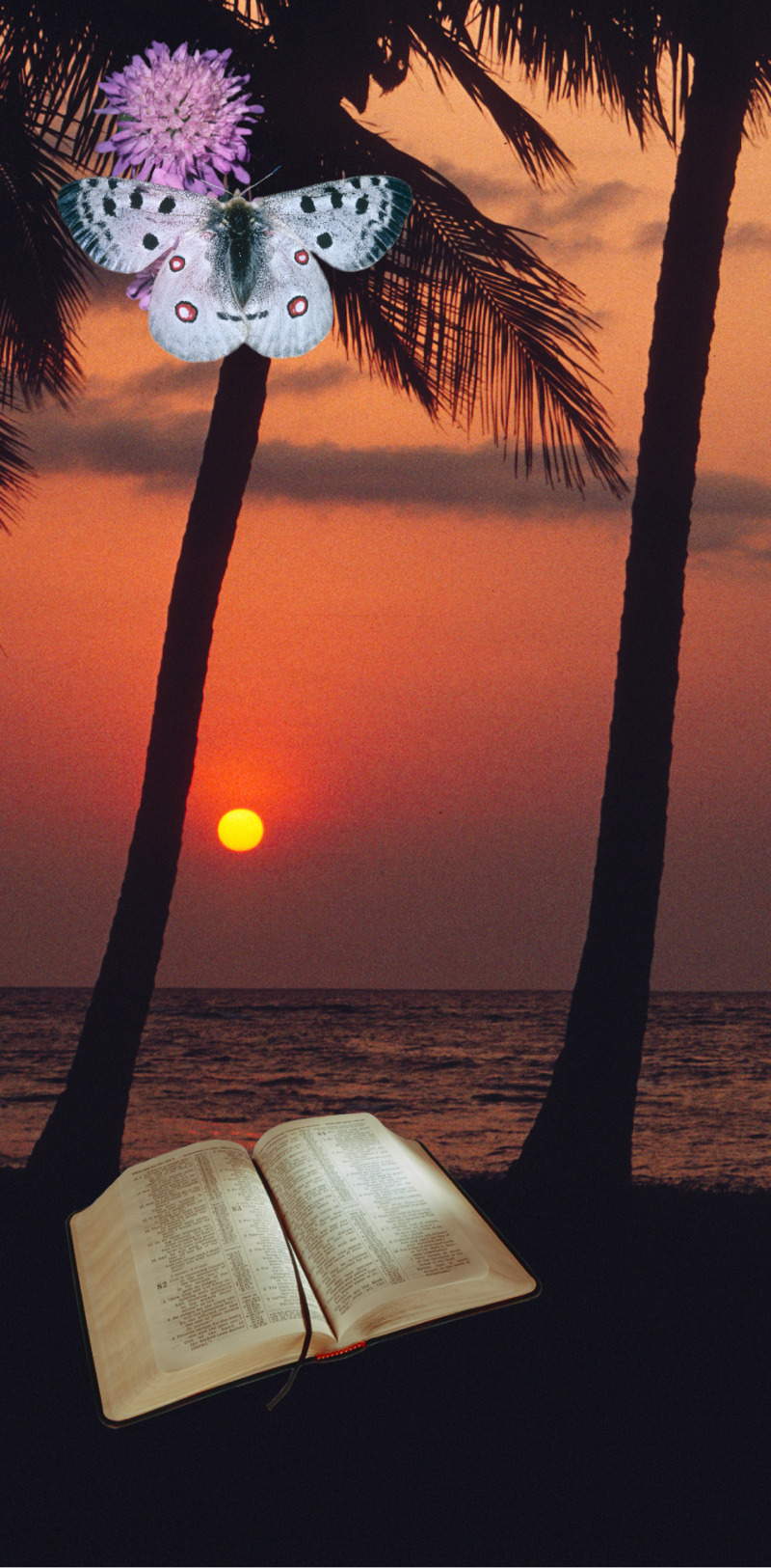 Ο Ιεχωβά αποκαλύπτει τον εαυτό του μέσω της δημιουργίας του και του γραπτού του λόγου, της Αγίας Γραφής.