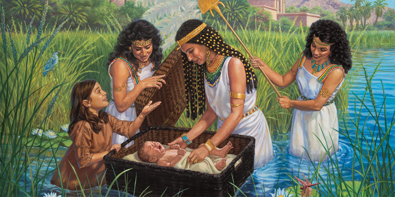 The Birth of Moses Bible Story Study Guide