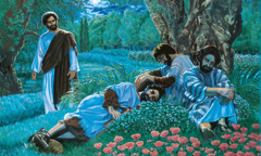 Jesus sieht im Garten Gethsemane, dass Petrus, Jakobus und Johannes eingeschlafen sind