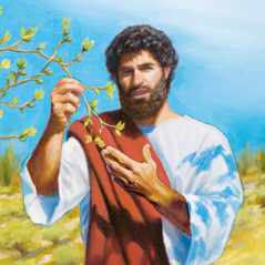 ישוע אוחז בענף של עץ תאנה שמצמיח ניצנים