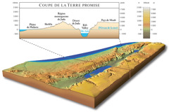 Coupe de la Terre promise