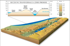 Cross Section of the Land