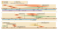 Chart on pages 20, 21