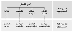 الدم الكامل،‏ مكوِّناته الرئيسية الاربعة،‏ والاجزاء الصغيرة