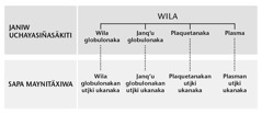 Wila, wilxa pusiruw jaljapxi, uka pusix jukʼampinakaruw jaljasi