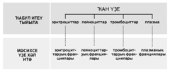 216-сы биттәге схема